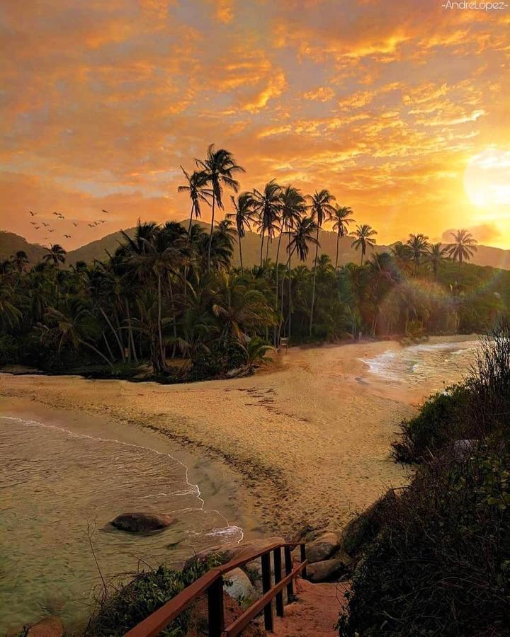 Hotel Jasayma Dentro Del Parque Tayrona Zaino Eksteriør billede