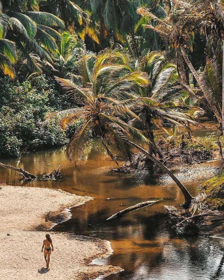 Hotel Jasayma Dentro Del Parque Tayrona Zaino Eksteriør billede