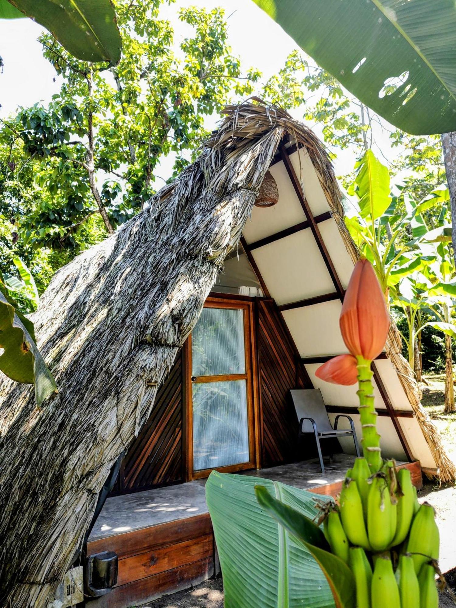 Hotel Jasayma Dentro Del Parque Tayrona Zaino Eksteriør billede