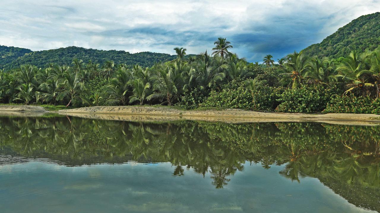 Hotel Jasayma Dentro Del Parque Tayrona Zaino Eksteriør billede